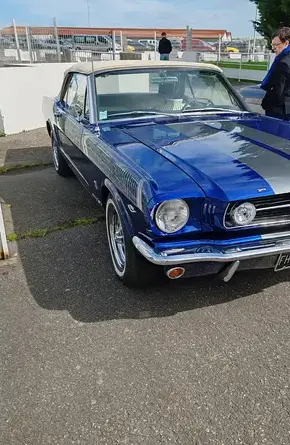 lustrage voiture Bruz-5