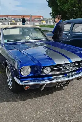 lustrage voiture Goven-1