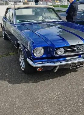 lustrage voiture Mordelles-1